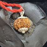 Charger l'image dans la galerie, 7 Mukhi Rudraksha Silver Capped Pendant
