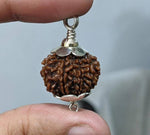 Charger l'image dans la galerie, 7 Mukhi Rudraksha Silver Capped Pendant
